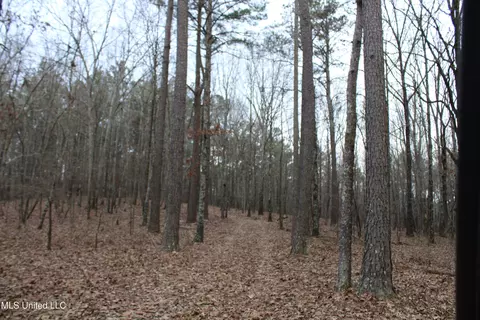 2 Do Rd, Lamar, MS 38642 photo 63