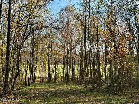 2 Do Rd, Lamar, MS 38642 photo 14