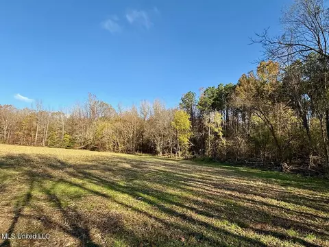2 Do Rd, Lamar, MS 38642 photo 33