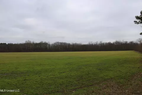 2 Do Rd, Lamar, MS 38642 photo 49