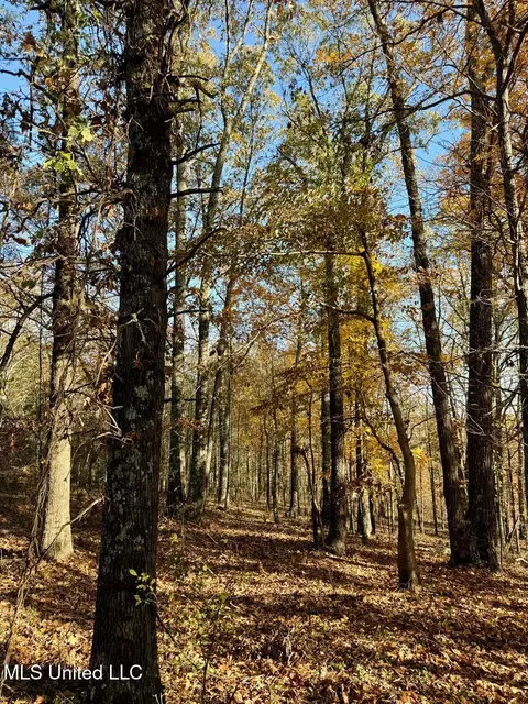 2 Do Rd, Lamar, MS 38642 photo 26