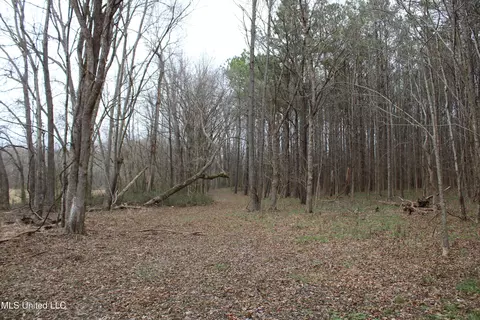 2 Do Rd, Lamar, MS 38642 photo 80