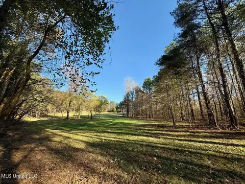 2 Do Rd, Lamar, MS 38642 photo 38