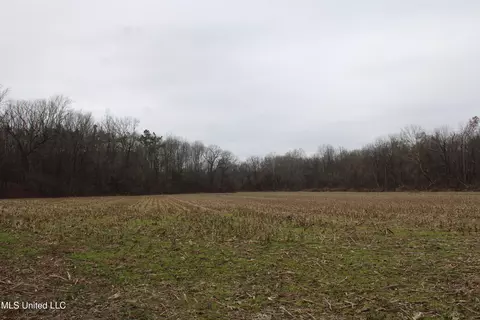 2 Do Rd, Lamar, MS 38642 photo 52