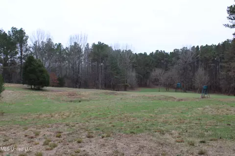 2 Do Rd, Lamar, MS 38642 photo 92