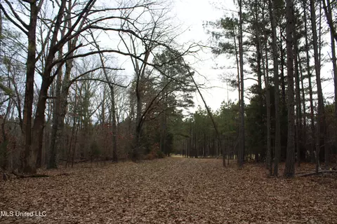 3 Do Rd, Lamar, MS 38642 photo 66