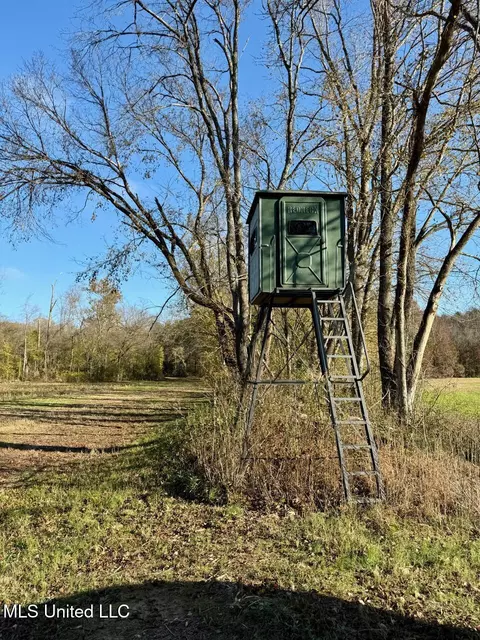 3 Do Rd, Lamar, MS 38642 photo 31