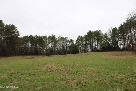 3 Do Rd, Lamar, MS 38642 photo 91