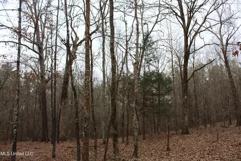 3 Do Rd, Lamar, MS 38642 photo 62