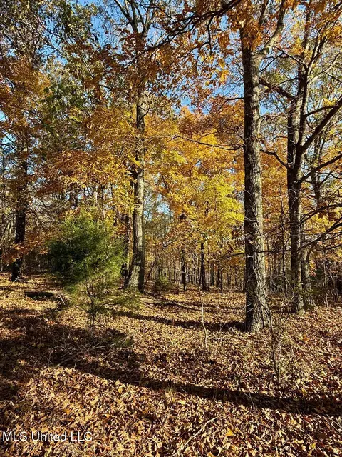 3 Do Rd, Lamar, MS 38642 photo 25