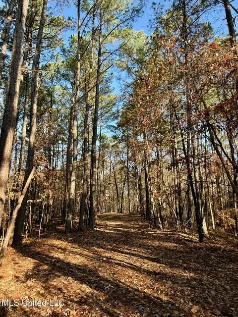 3 Do Rd, Lamar, MS 38642 photo 22