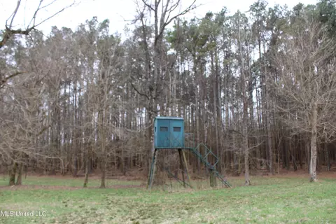 3 Do Rd, Lamar, MS 38642 photo 90