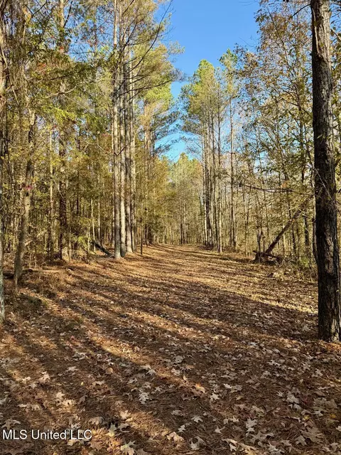 3 Do Rd, Lamar, MS 38642 photo 36