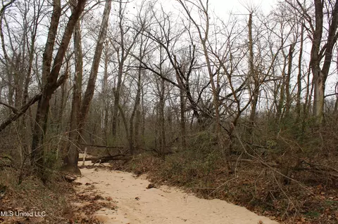 3 Do Rd, Lamar, MS 38642 photo 84