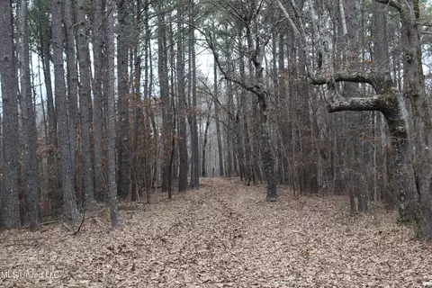 3 Do Rd, Lamar, MS 38642 photo 67