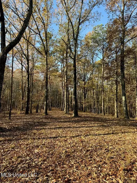 3 Do Rd, Lamar, MS 38642 photo 18
