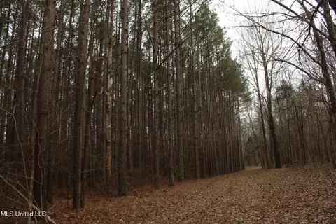 3 Do Rd, Lamar, MS 38642 photo 88