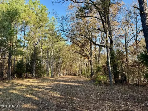 3 Do Rd, Lamar, MS 38642 photo 28
