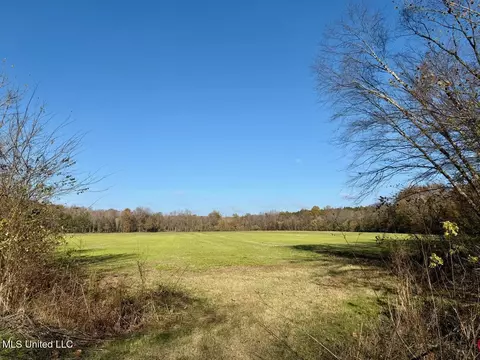 3 Do Rd, Lamar, MS 38642 photo 44