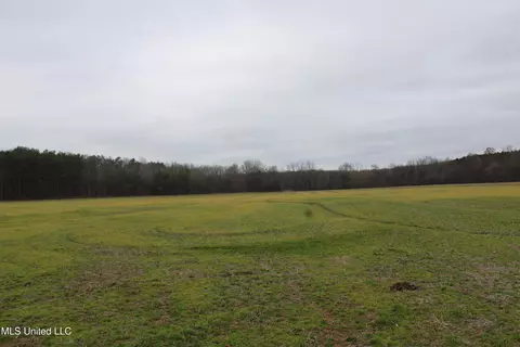 3 Do Rd, Lamar, MS 38642 photo 51