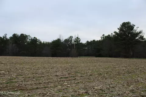 3 Do Rd, Lamar, MS 38642 photo 71