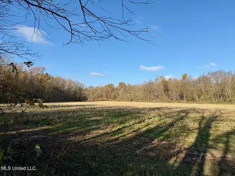3 Do Rd, Lamar, MS 38642 photo 30