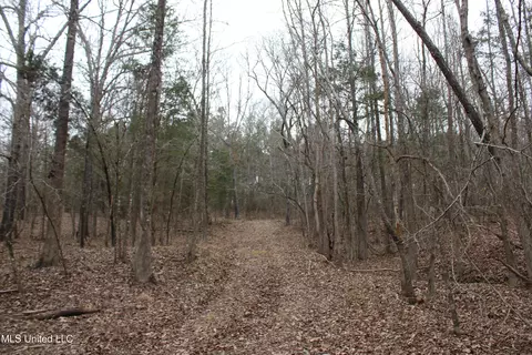 3 Do Rd, Lamar, MS 38642 photo 95