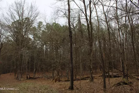 3 Do Rd, Lamar, MS 38642 photo 79