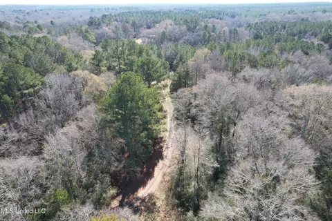 2069 Ms-17, Camden, MS 39045