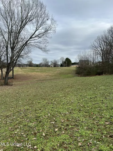 1895 Sunset Farms Dr, Hernando, MS 38632 photo 7
