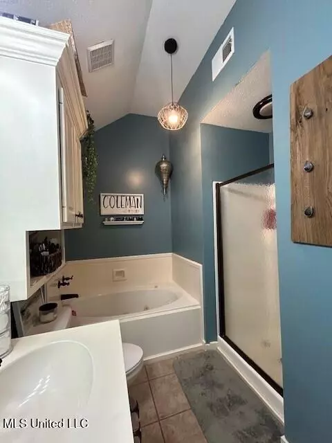 Bath - 505 Pear Orchard Dr, Brandon, MS 39042 photo 2 of 5