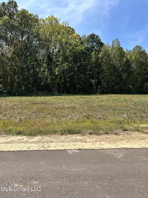 2 Pebble View Dr, Byhalia, MS 38611
