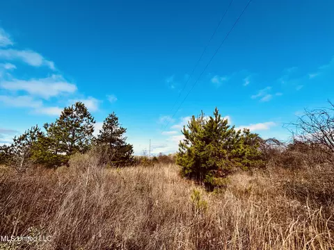 S. Frontage Road, Winona, MS 38967 photo 8