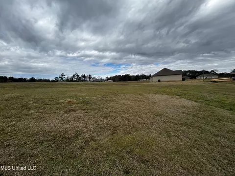 Exterior - 1035 Driftwood Rd, Summit, MS 39666 photo 3 of 3