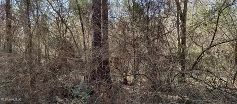 No Pecan Drive, Lumberton, MS 39455
