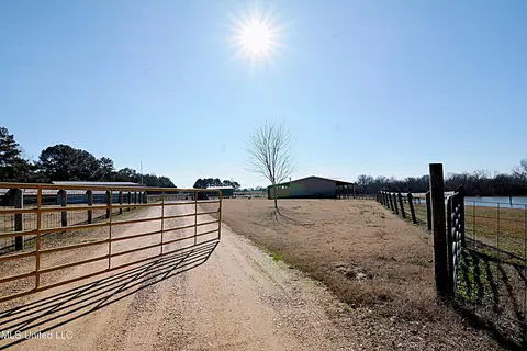 150 Bett Rd, Coldwater, MS 38618 photo 39