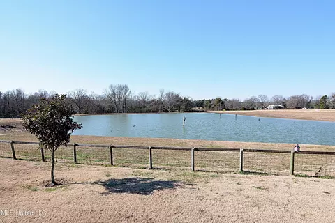 150 Bett Rd, Coldwater, MS 38618 photo 45