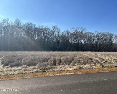 5 Pebble View Dr, Byhalia, MS 38611