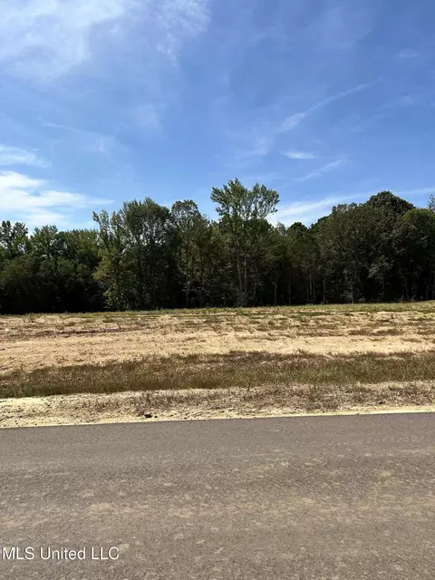 9 Pebble View Dr, Byhalia, MS 38611