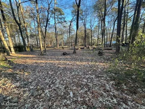 112 Park Ln, Brandon, MS 39047 photo 4