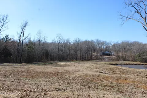 8705 Cole Rd, Olive Branch, MS 38654 photo 3