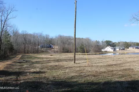 8705 Cole Rd, Olive Branch, MS 38654 photo 5