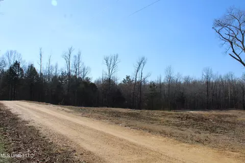8705 Cole Rd, Olive Branch, MS 38654 photo 2