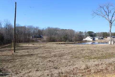 8705 Cole Rd, Olive Branch, MS 38654 photo 4