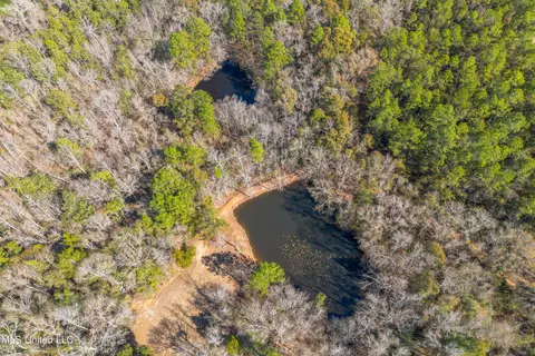 View/Area - 269 Geiger Rd, Lucedale, MS 39452 photo 5 of 7