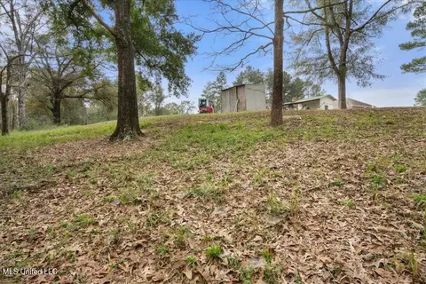 Other - 269 Geiger Rd, Lucedale, MS 39452 photo 6 of 6