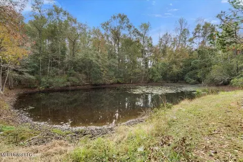 View/Area - 269 Geiger Rd, Lucedale, MS 39452 photo 2 of 7