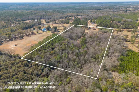 View/Area - 269 Geiger Rd, Lucedale, MS 39452 photo 3 of 7
