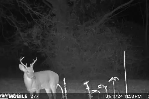 Other - 277 Howell Tanner Chapel Rd, Lucedale, MS 39452 photo 16 of 16