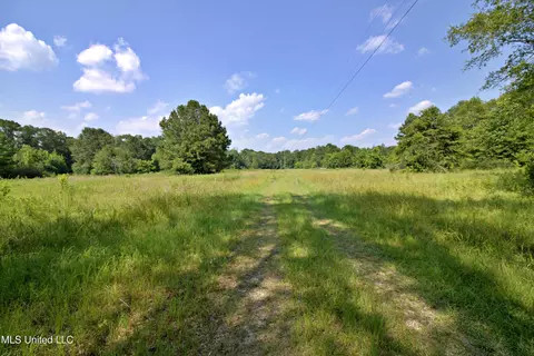 Other - 280 Lowery Rd, Sumrall, MS 39482 photo 3 of 6